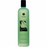 SHUNGA-BATH-GEL-MENTHE-500ML