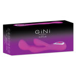 GINI