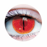 Lentilles Primal– Jurassic II C-903