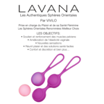 LAVANA info